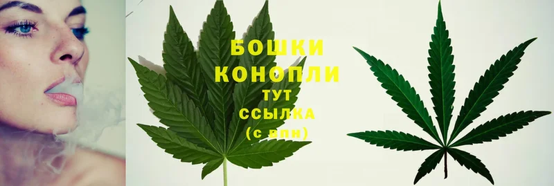 Конопля OG Kush  где можно купить   Белокуриха 